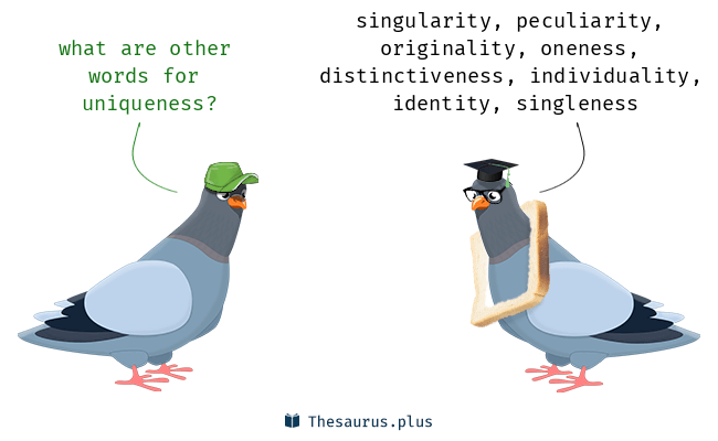 synonyms for uniqueness