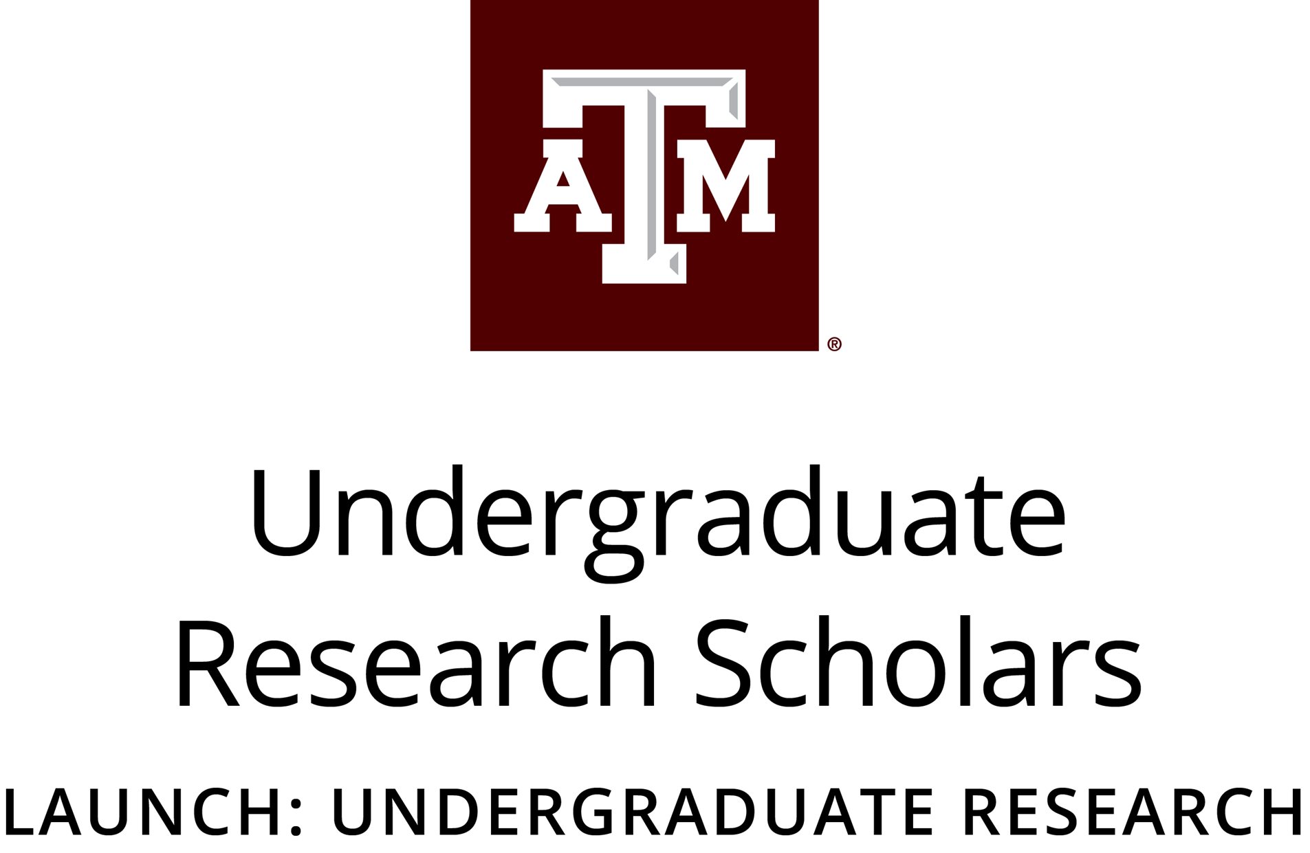 tamu undergraduate research