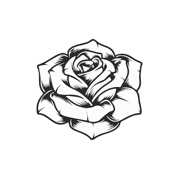 tattoo rosa dibujo