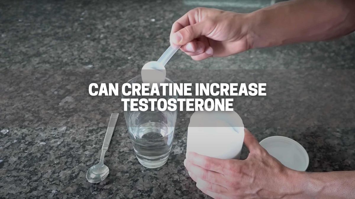 testosterone booster with creatine