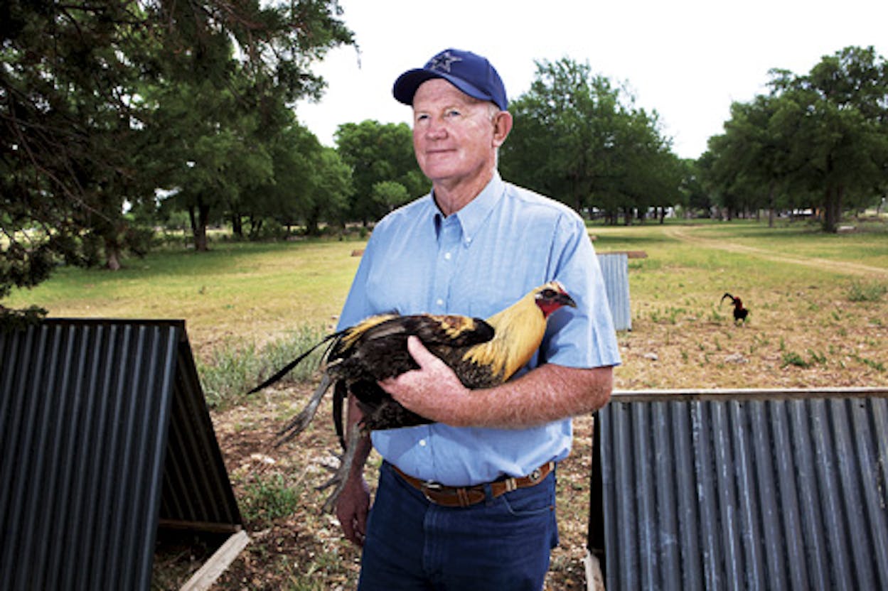 texas gamefowl breeders association