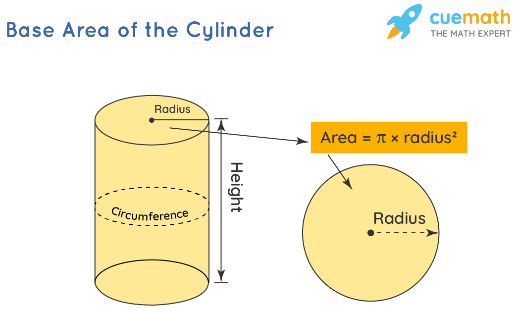 the circumference of the base of a cylinder