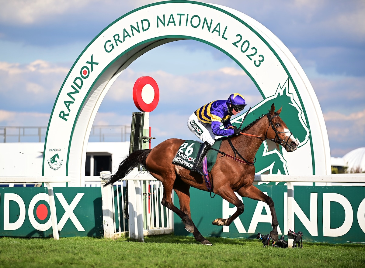 the grand national results
