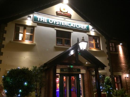 the oystercatcher reviews