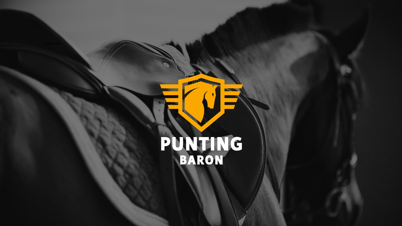 the punting baron