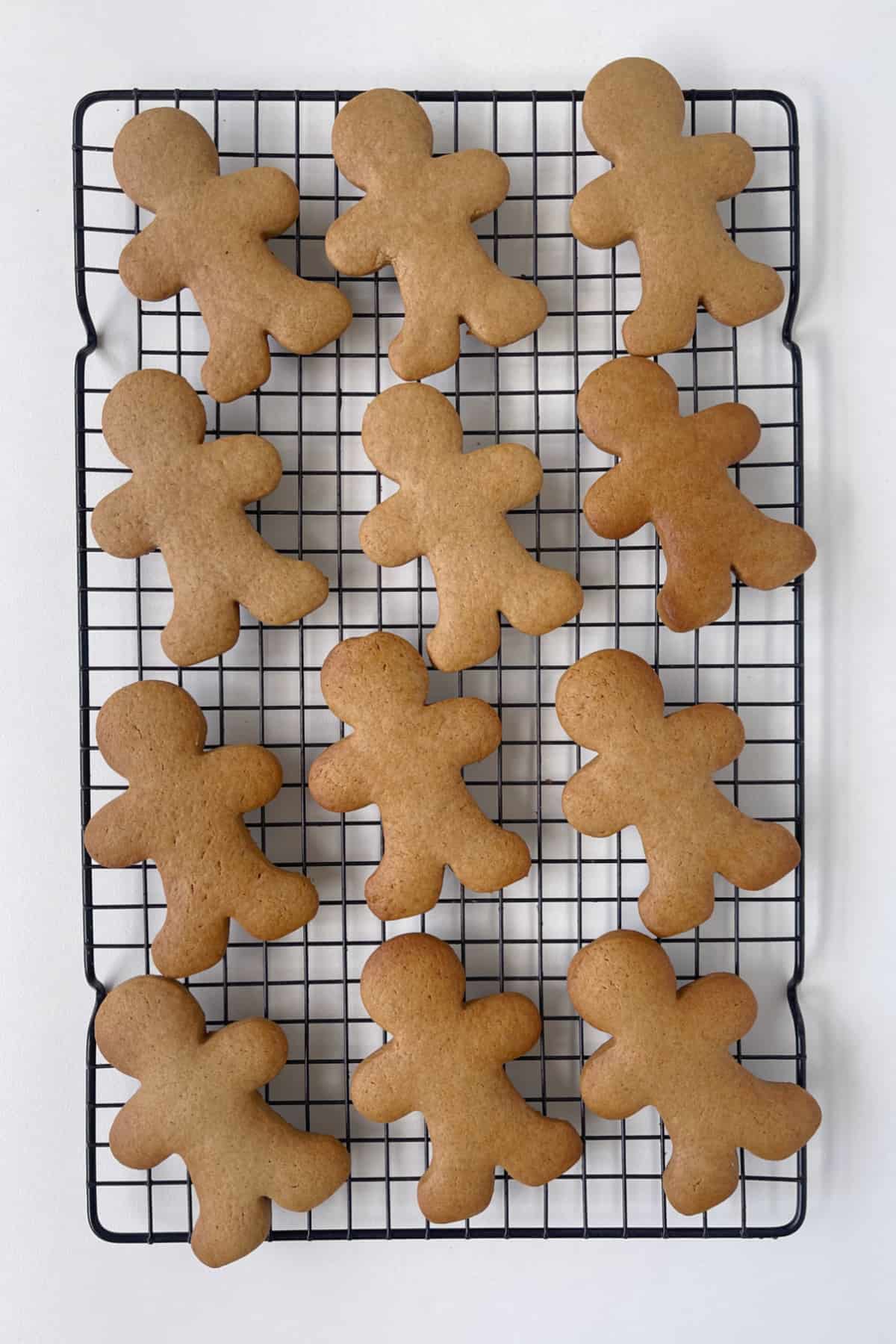 thermomix gingerbread cookies