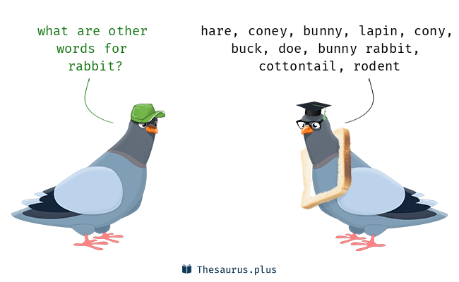 thesaurus rabbit