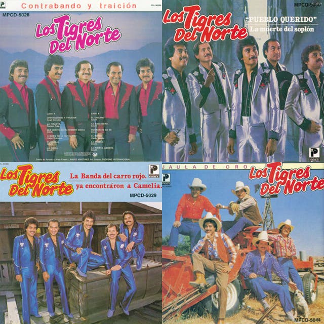 tigres del norte viejitas