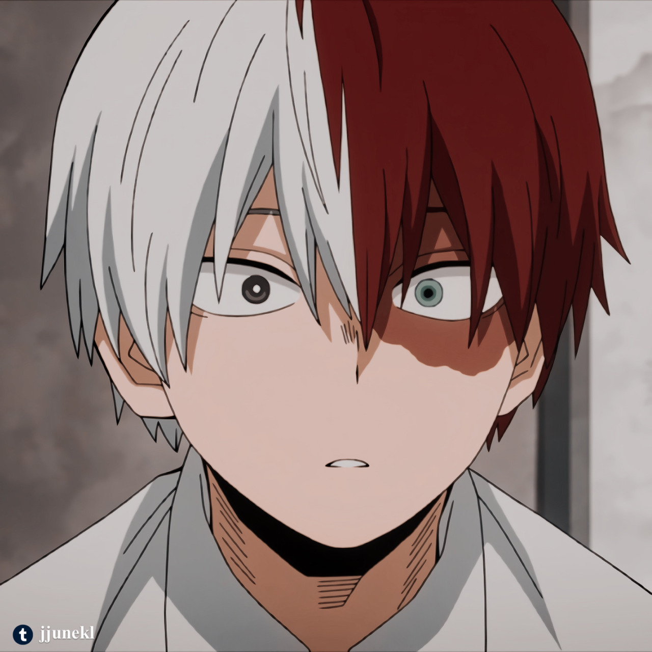 todoroki icons