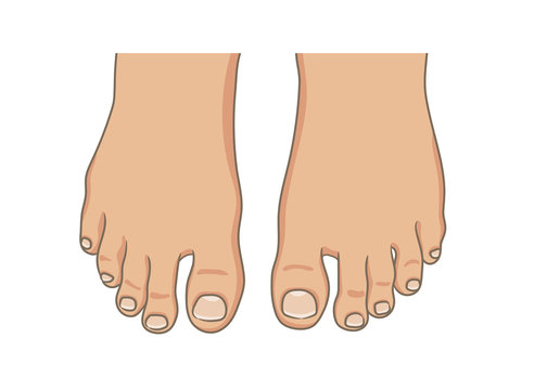 toes clipart