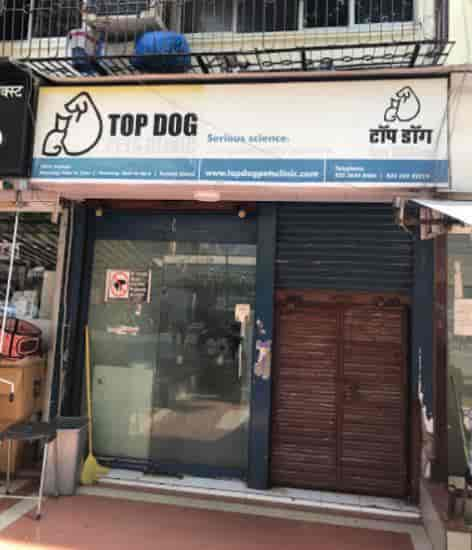 top dog pets clinic top dog healthcare pvt ltd