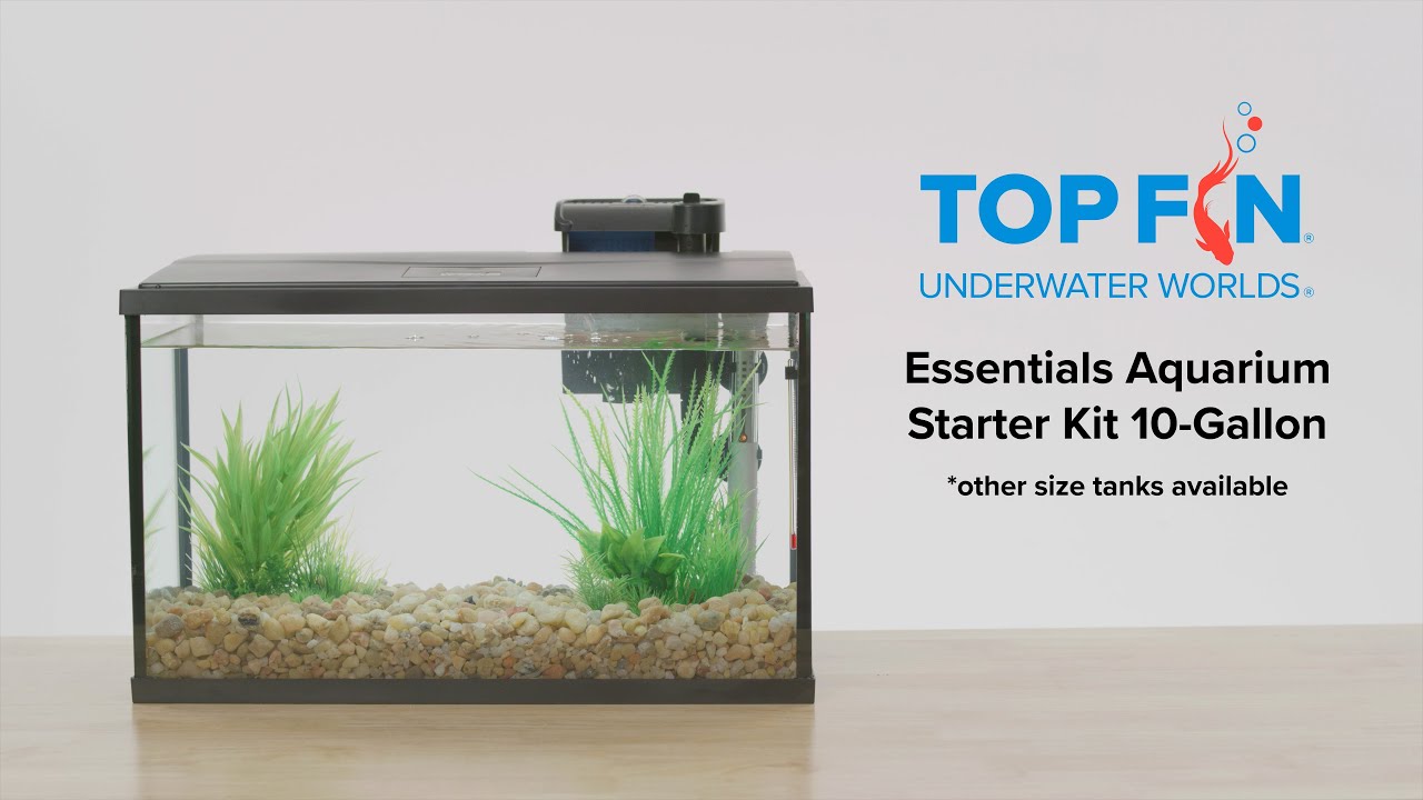 topfin aquarium