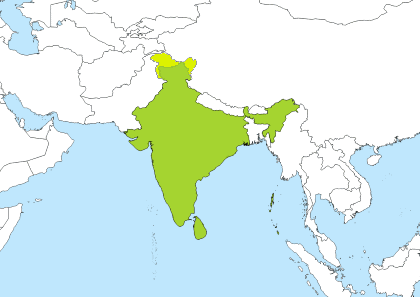 toronto time to india time converter