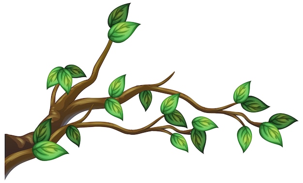 tree branch clipart