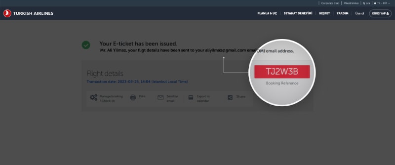 turkish airlines flight check in