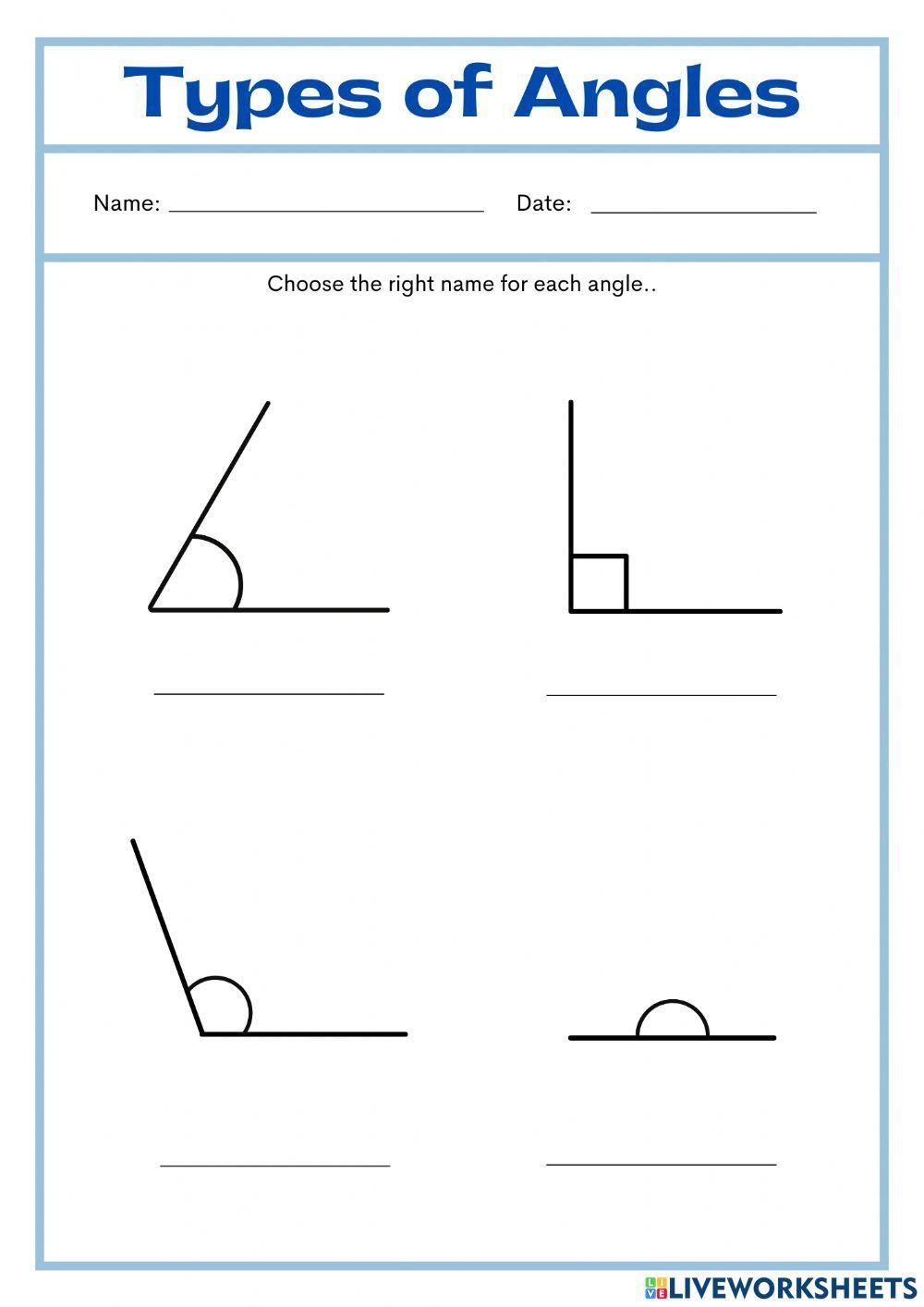 types of angles worksheet