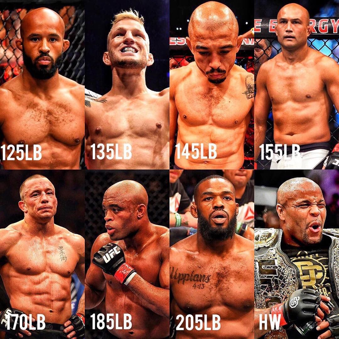 ufc weight classes in pounds