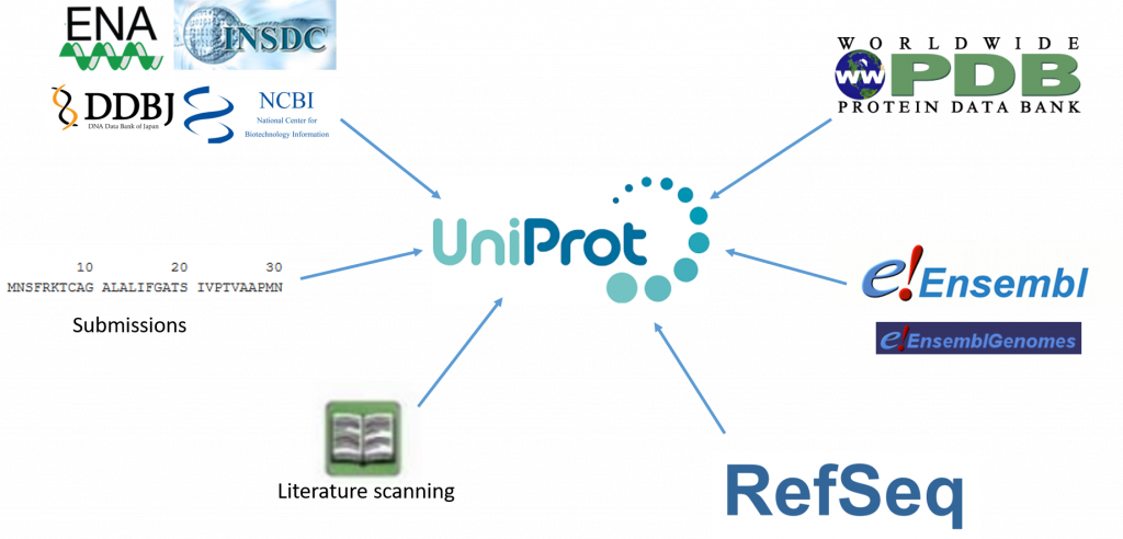 uniprot