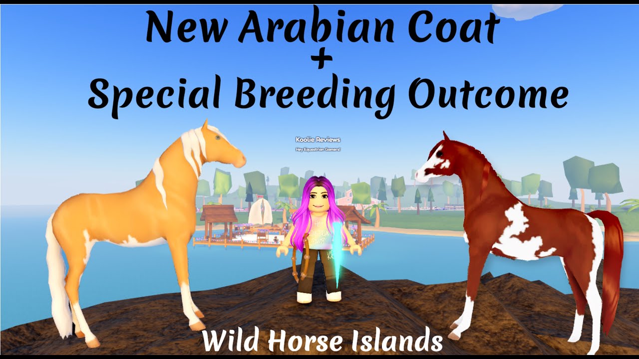 unique breeding wild horse islands