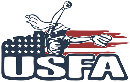 usfa fastpitch softball