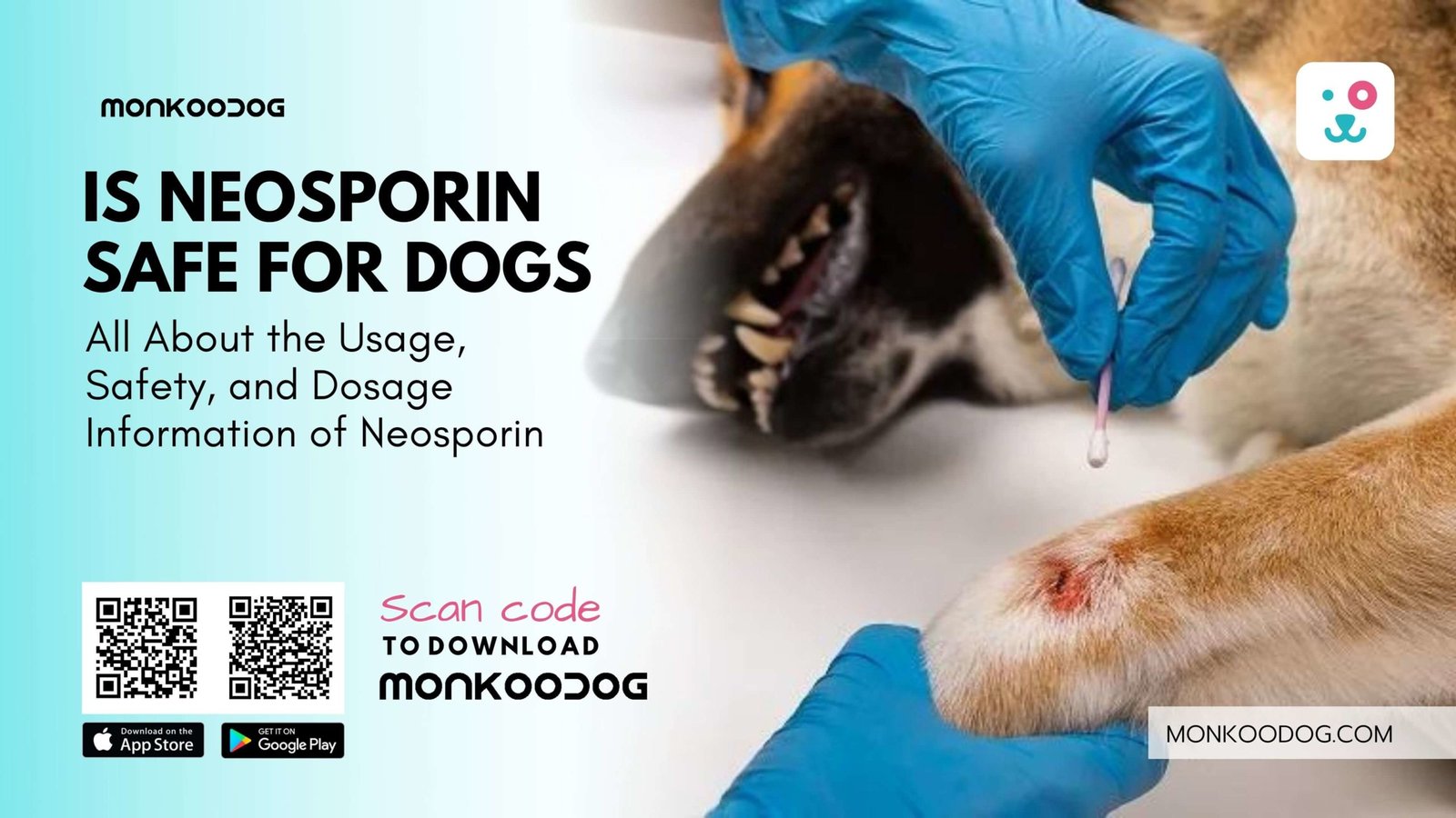 using neosporin on dogs