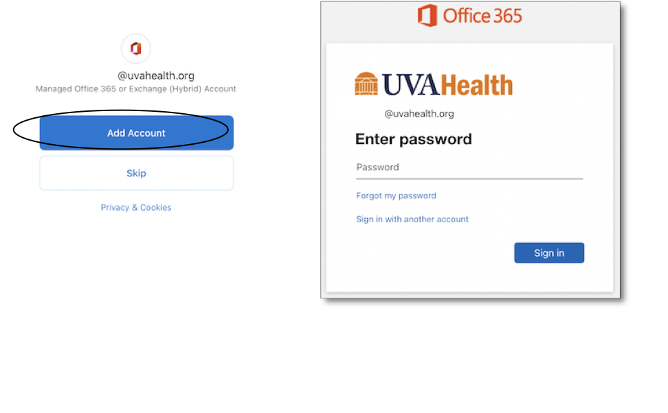 uva office 365