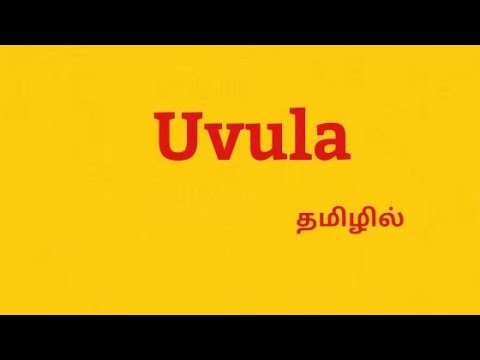 uvula meaning in tamil