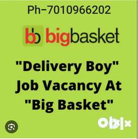 van delivery boy job in big basket