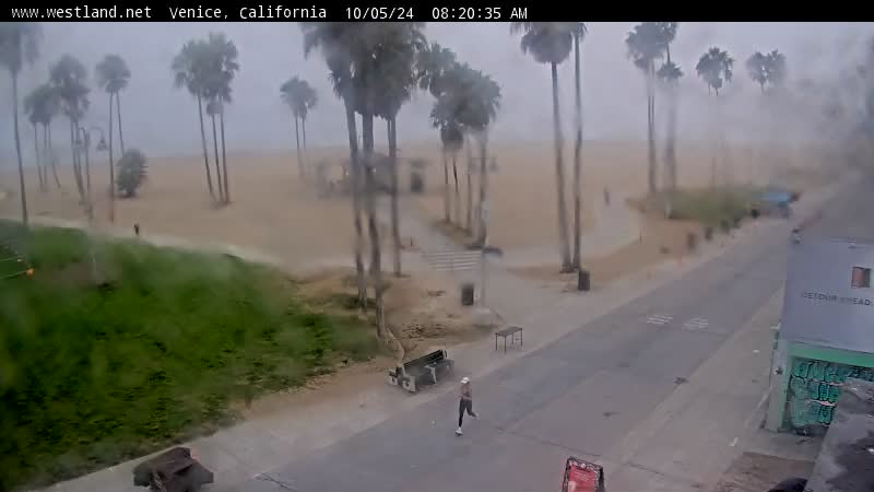 venice beach california webcam