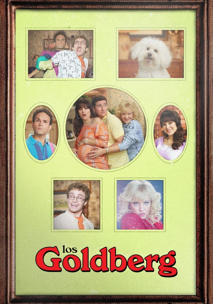 ver the goldbergs online