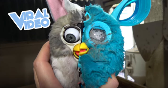 video furby