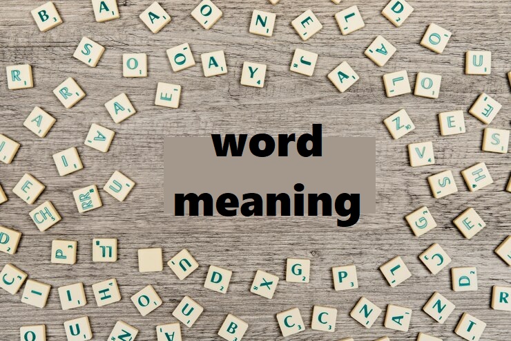 vociferously meaning in hindi