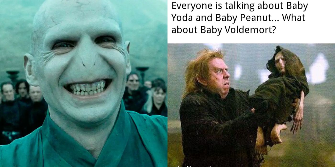 voldemort memes