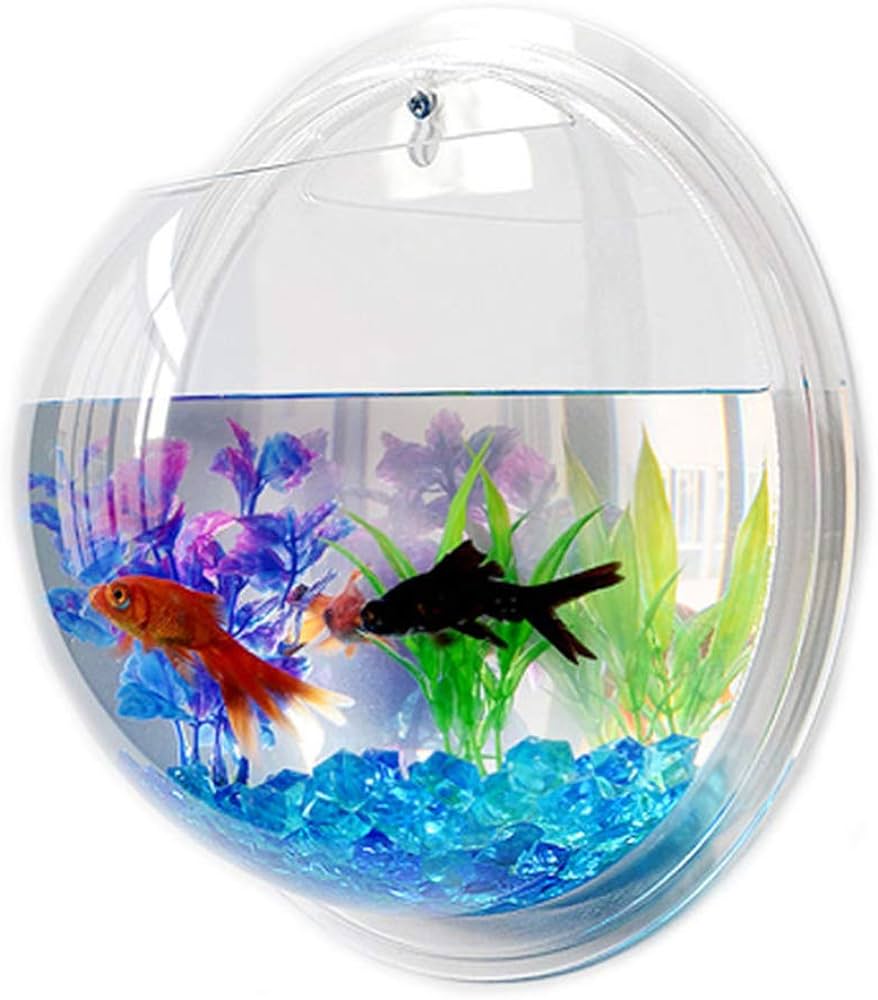 wall hanging fish tank