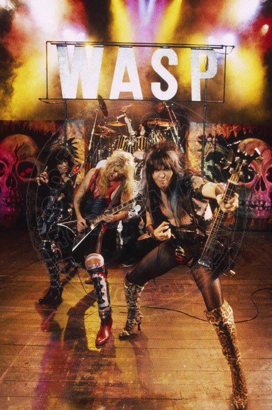 wasp band wallpaper