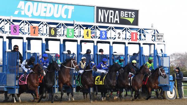 watch aqueduct racing live