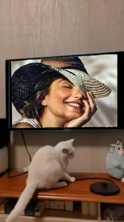 watchpeopledie tv cat
