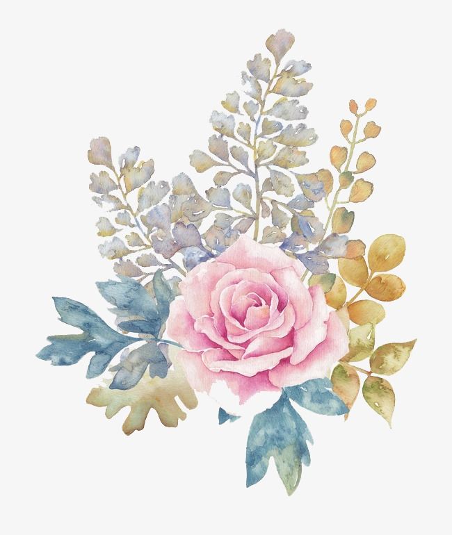 watercolor pastel flower png