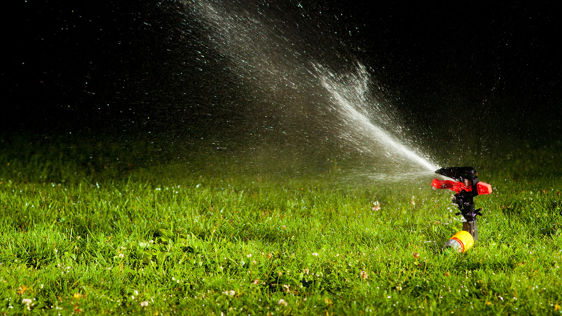 watering grass at night myth