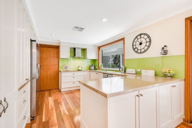 west gosford auctions