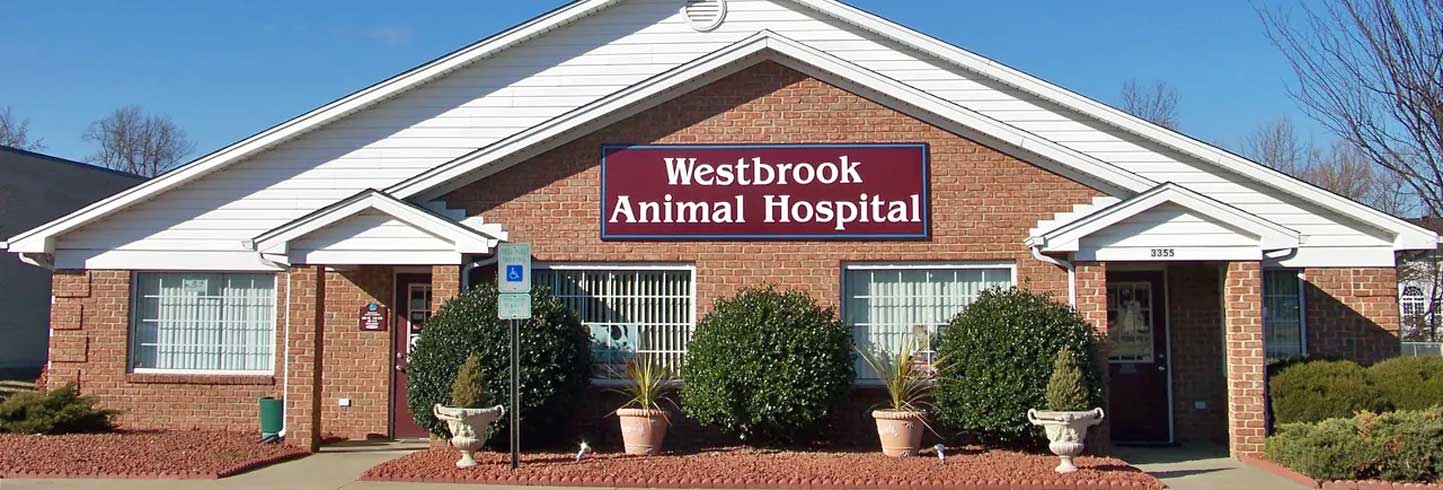 westbrook veterinary clinic