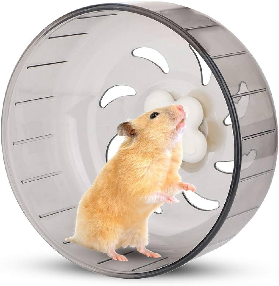 wheel for hamsters