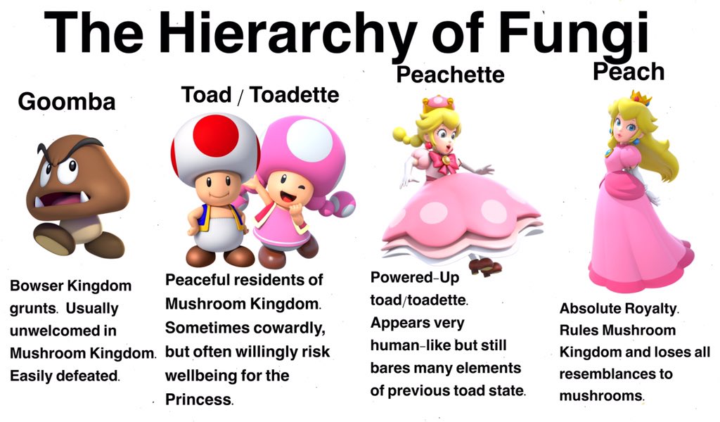 when did toadette first appear