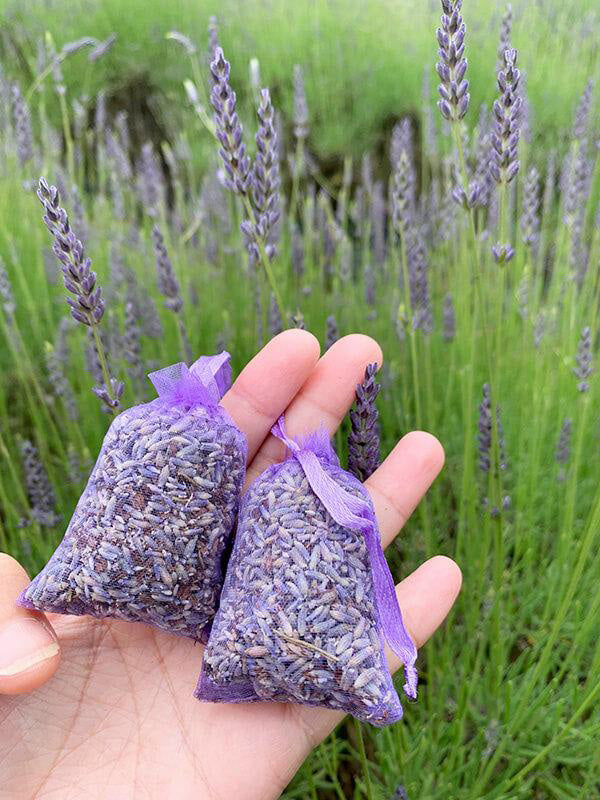 where to buy lavender sachets near me