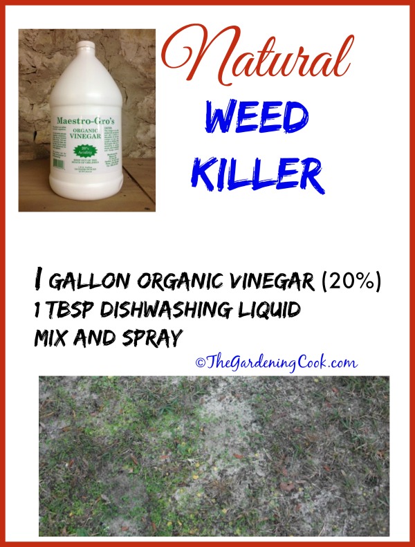 white vinegar weed killer recipe uk