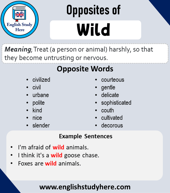 wild ka antonyms