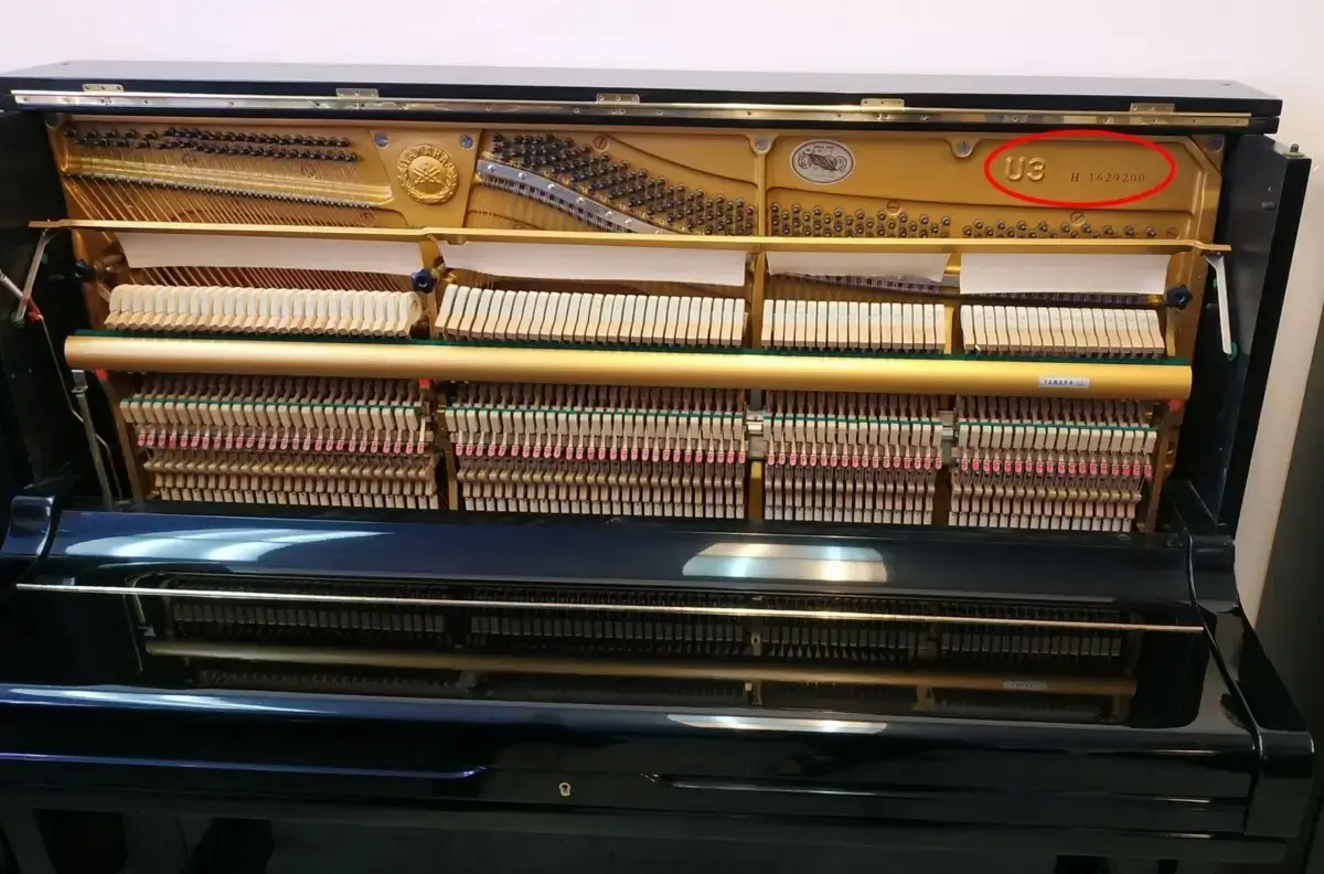 yamaha piano serial number search