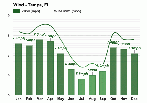 yearly weather in tampa florida