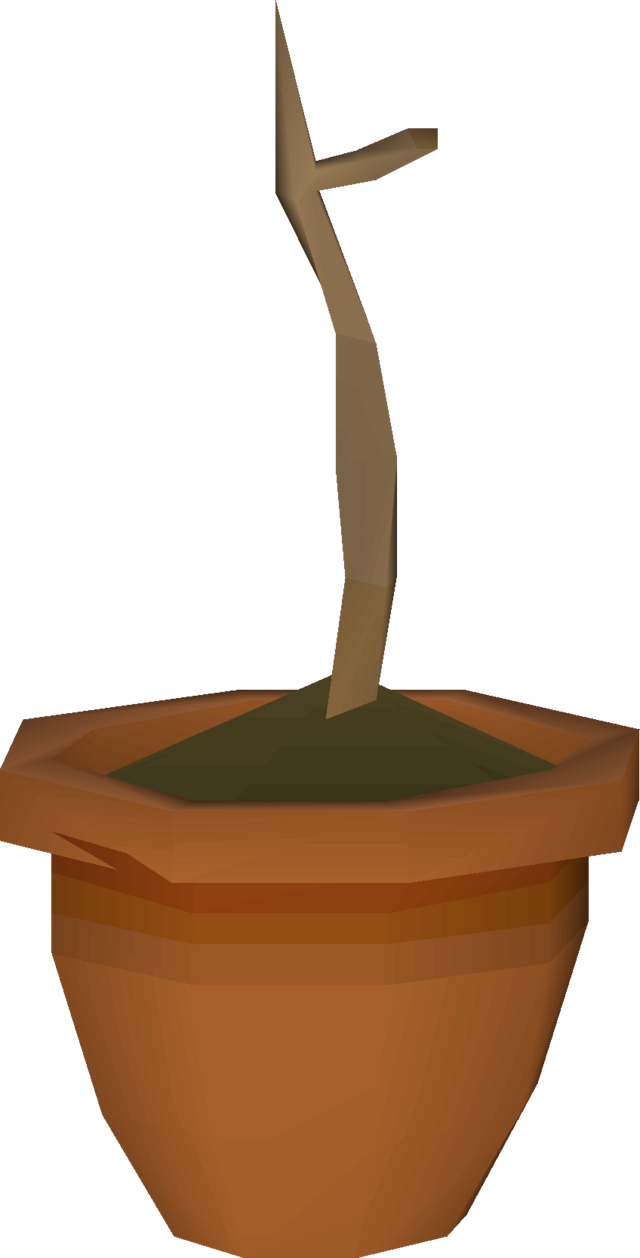 yew sapling osrs