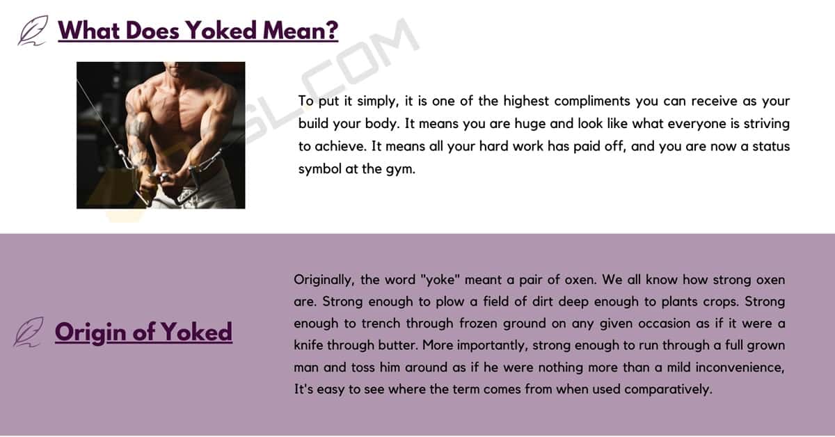 yoked definition